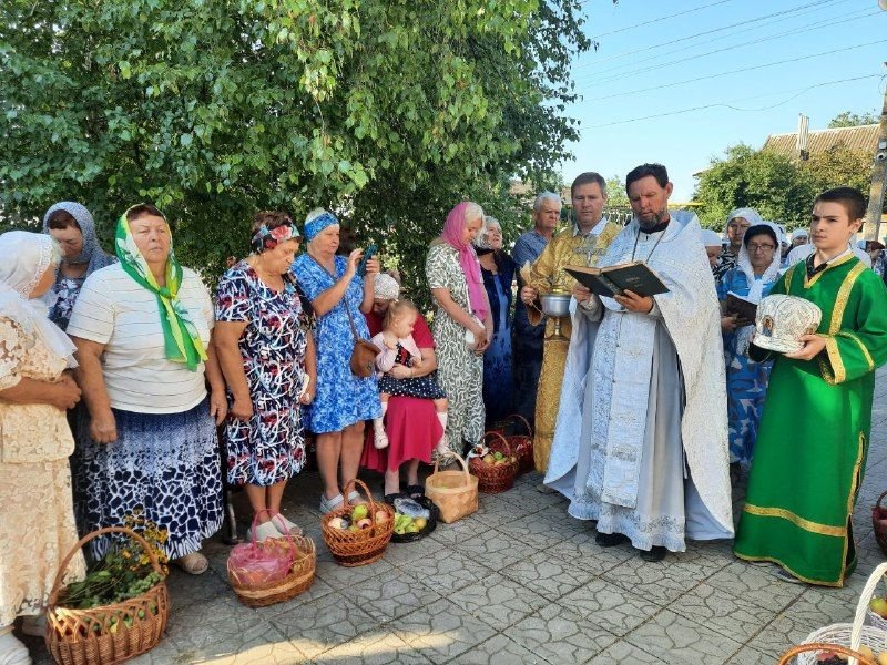 Главная фотография статьи